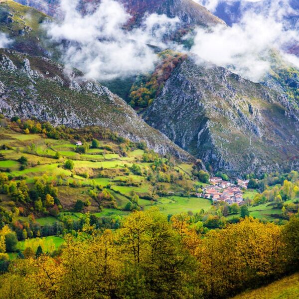 1.parque-natural-de-redes