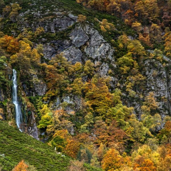 14.parque-natural-de-redes