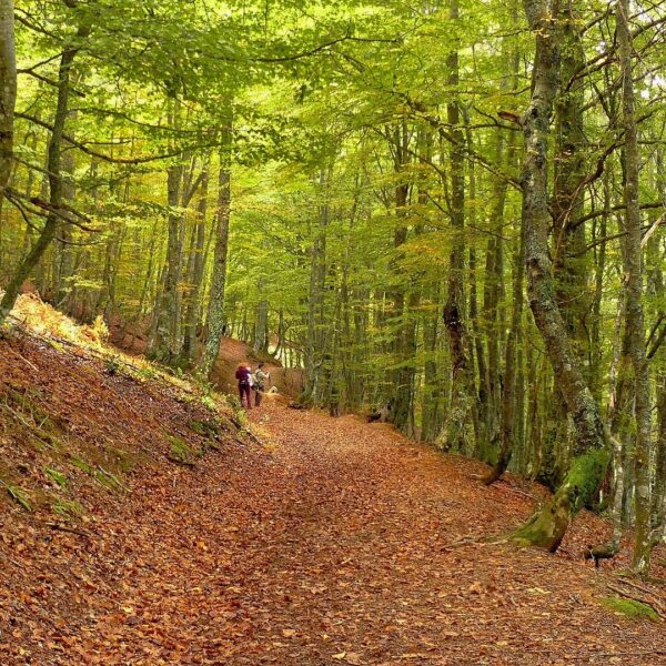 15.parque-natural-de-redes