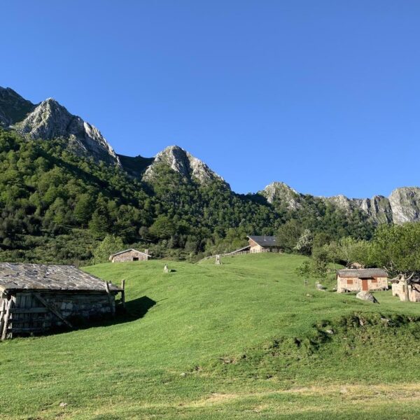 18.parque-natural-de-redes