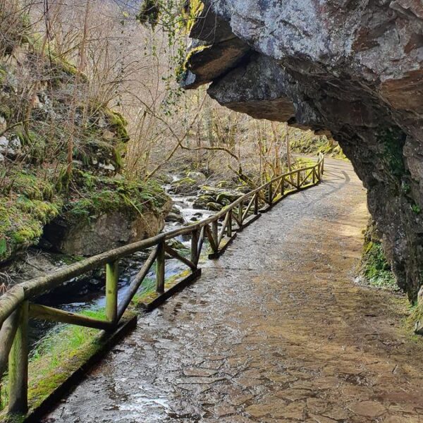 19.parque-natural-de-redes