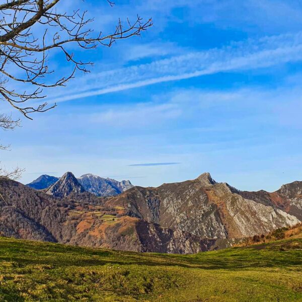 20.parque-natural-de-redes