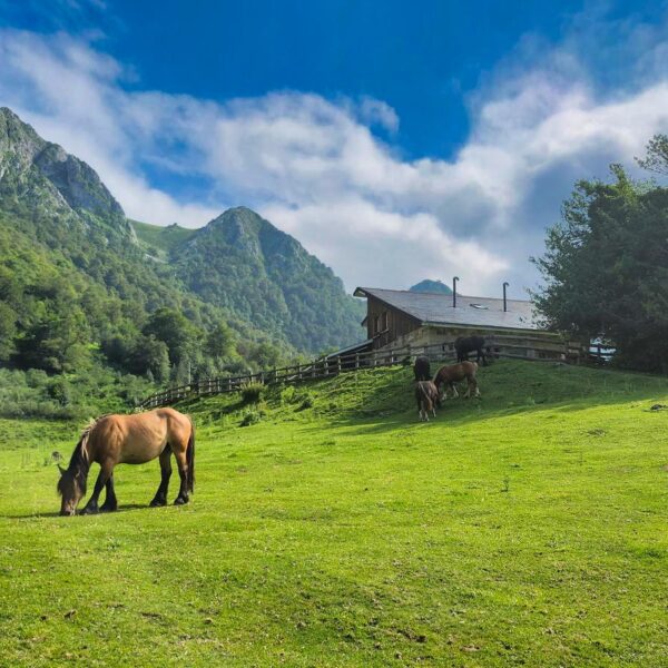 22.parque-natural-de-redes