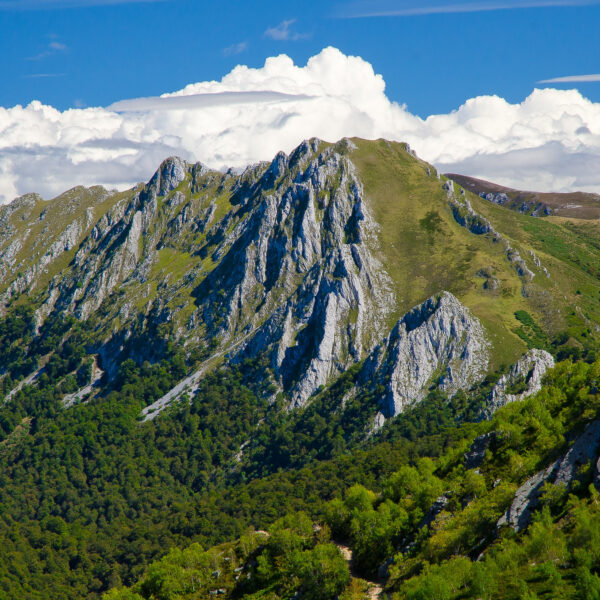 23.parque-natural-de-redes