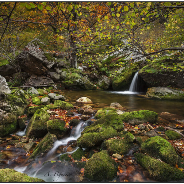 25.parque-natural-de-redes