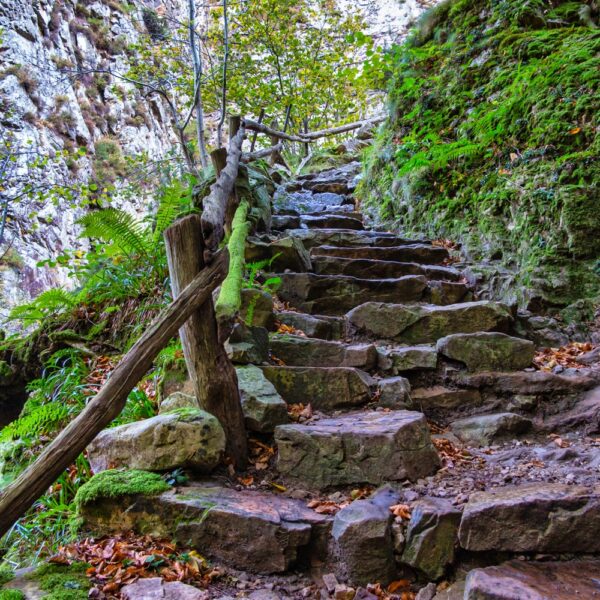 27.parque-natural-de-redes