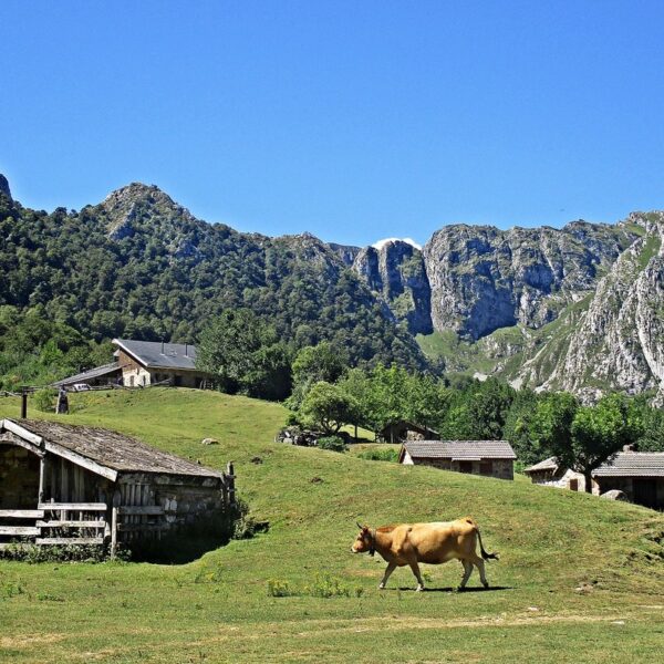 29.parque-natural-de-redes