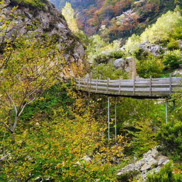 31.parque-natural-de-redes