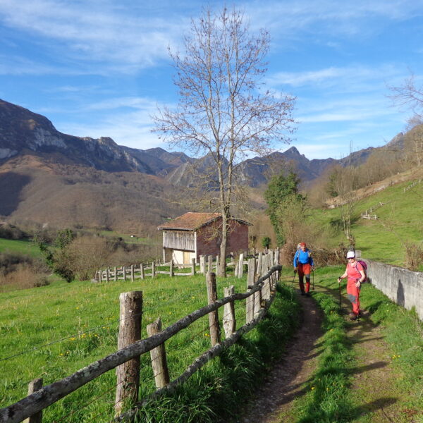 32.parque-natural-de-redes