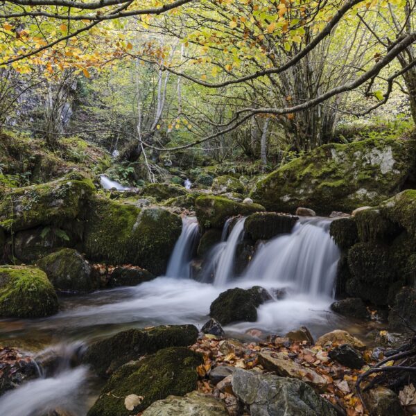 33.parque-natural-de-redes