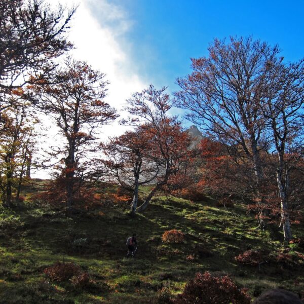 35.parque-natural-de-redes