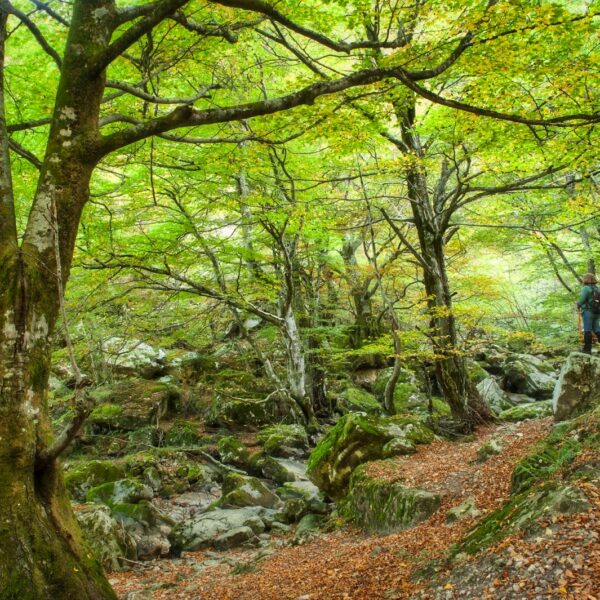 4.parque-natural-de-redes