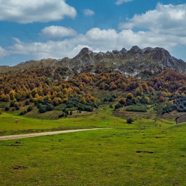 5.parque-natural-de-redes