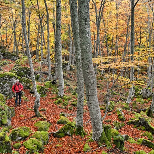 6.parque-natural-de-redes