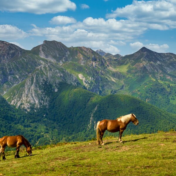 Subida al Canto del Oso desde Bezanes pasando por la Vega de Brañagallones.