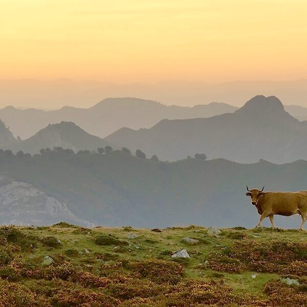 9.parque-natural-de-redes