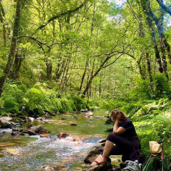 16.viaje-a-los-oscos-three-mountains-2026