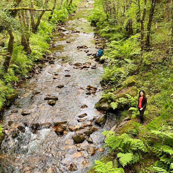 18.viaje-a-los-oscos-three-mountains-2026