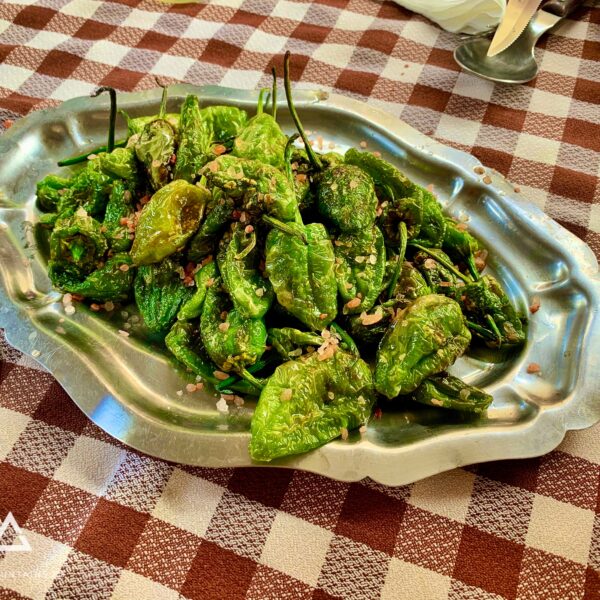 6.viaje-a-los-oscos-three-mountains-2026