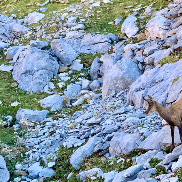 12.trekking-pirineos-valles-occidentales