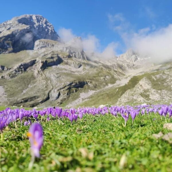 15.viaje-asturias-ubinas-cabo-penas-con-three-mountains