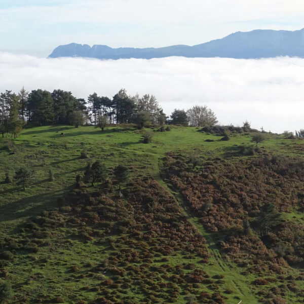 15.viaje-pais-vasco-los-tres-grandes-con-three-mountains