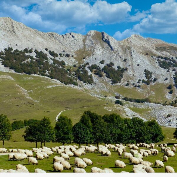 16.viaje-pais-vasco-los-tres-grandes-con-three-mountains
