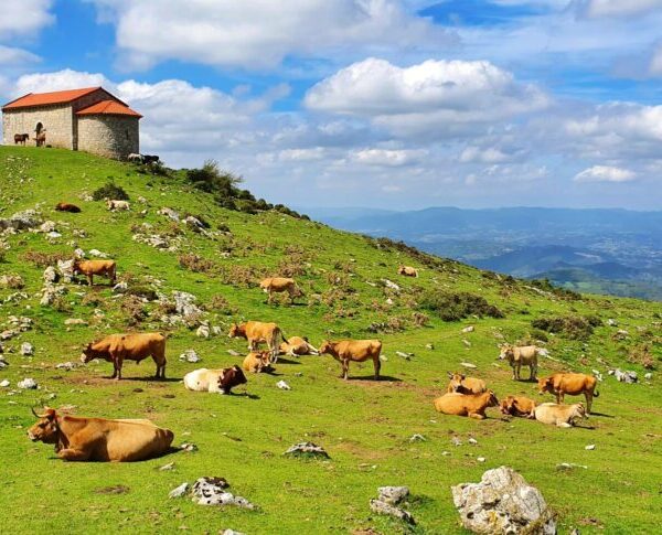 2.viaje-asturias-ubinas-cabo-penas-con-three-mountains