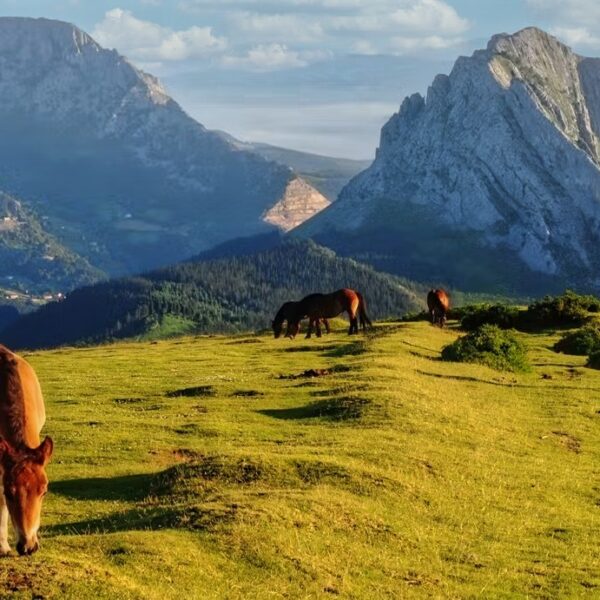 5.viaje-pais-vasco-los-tres-grandes-con-three-mountains