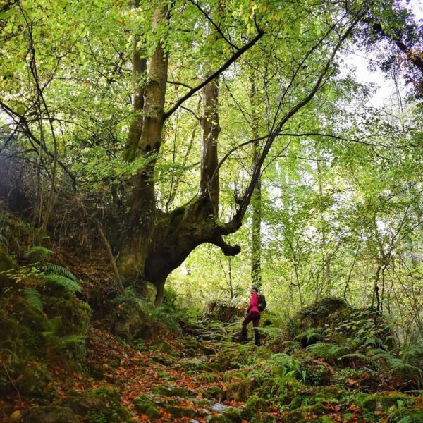 6.viaje-asturias-ubinas-cabo-penas-con-three-mountains